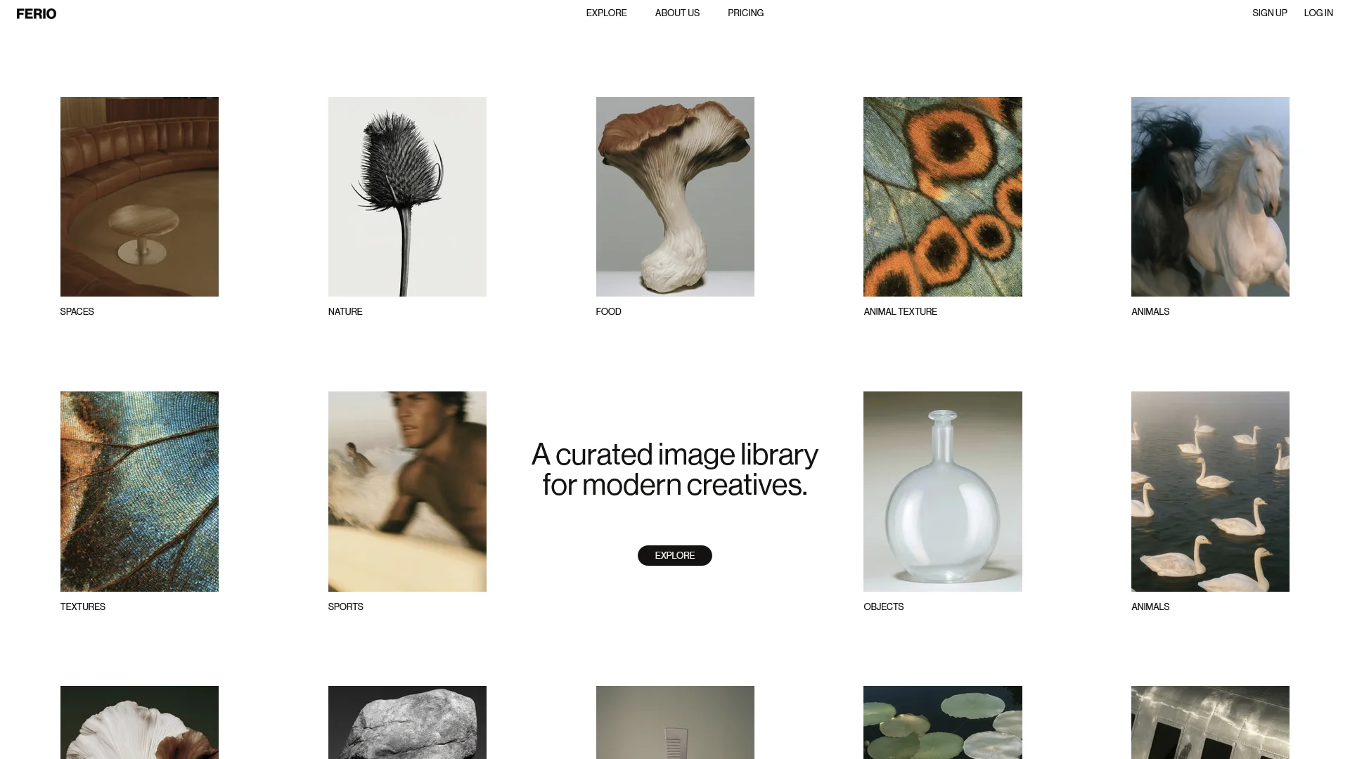 Ferio website